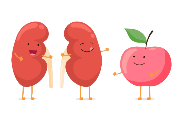 cereais